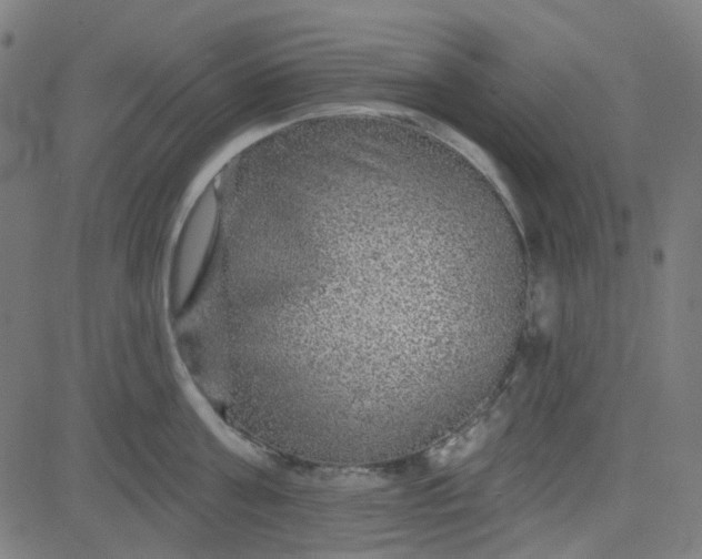 X0000084600811200703091927