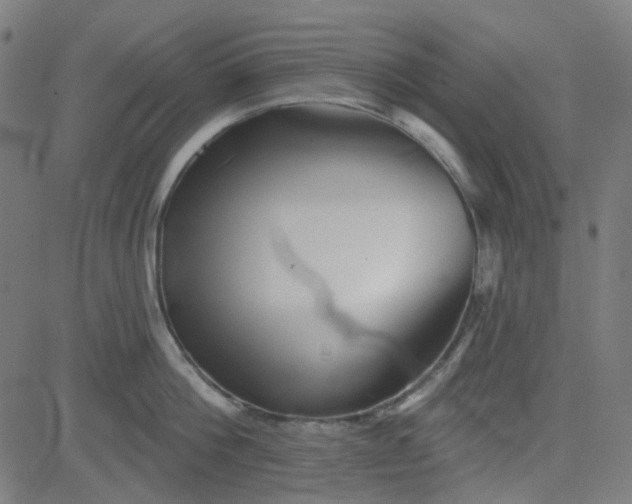 X0000084600812200703091927