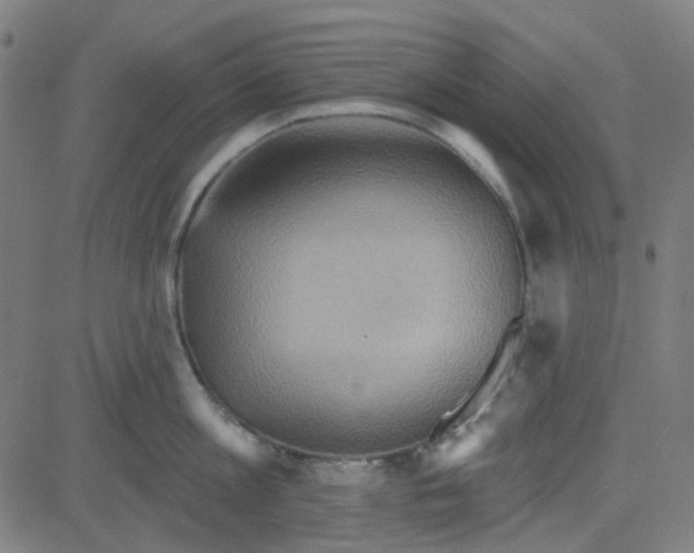 X0000084600813200703091927