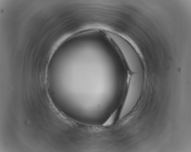 X0000084600815200703091927