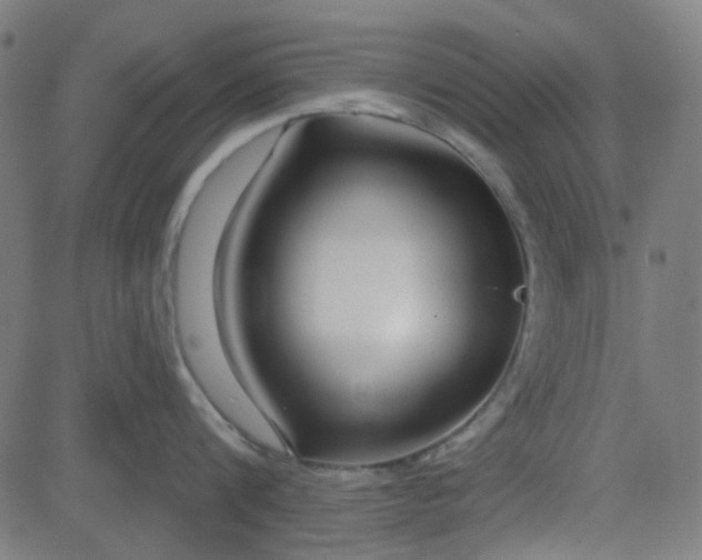 X0000084600816200703091927