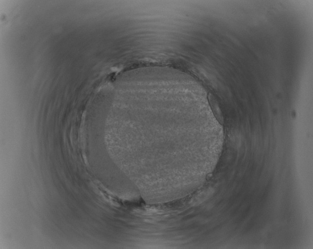 X0000084600817200703091926