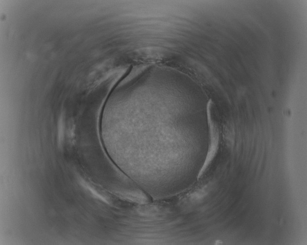 X0000084600818200703091926