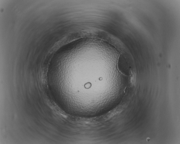 X0000084600819200703091926