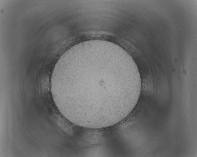 X0000084600820200703091926