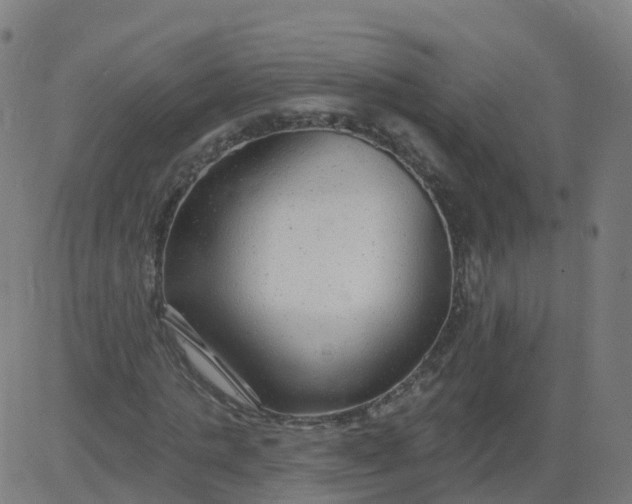 X0000084600821200703091926