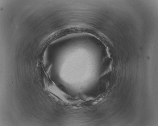 X0000084600822200703091926