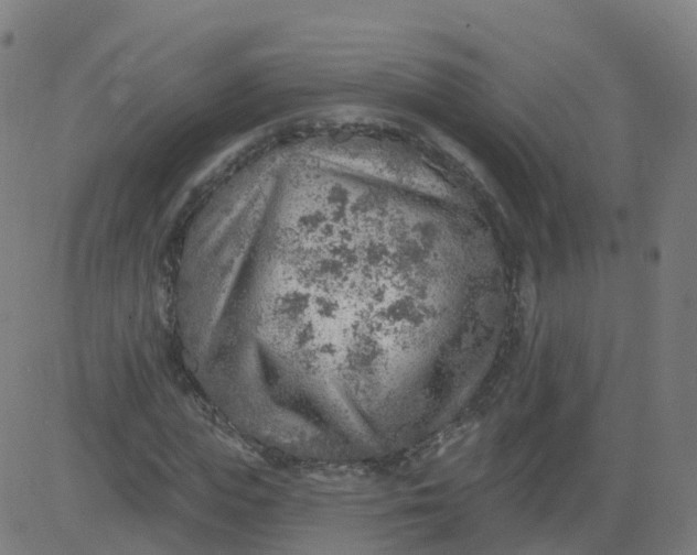 X0000084600823200703091926