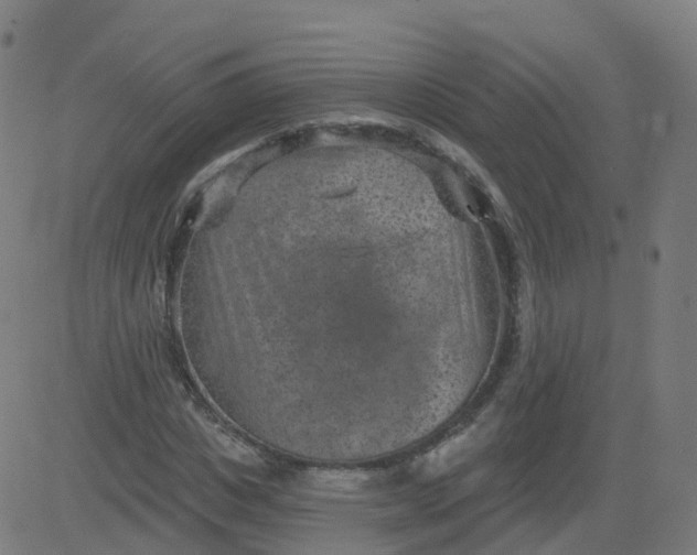 X0000084600825200703091926