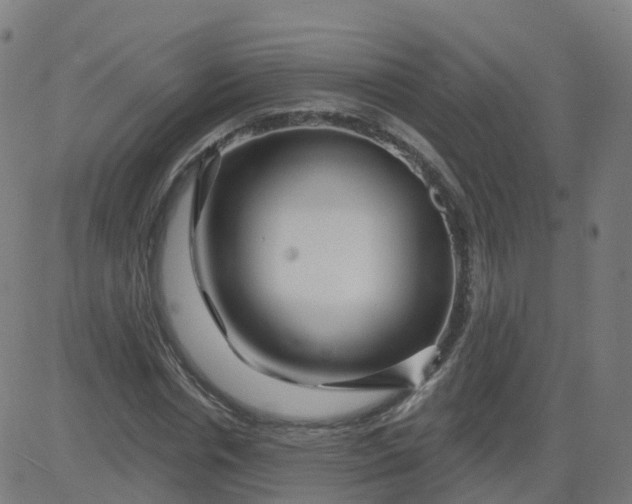 X0000084600826200703091926