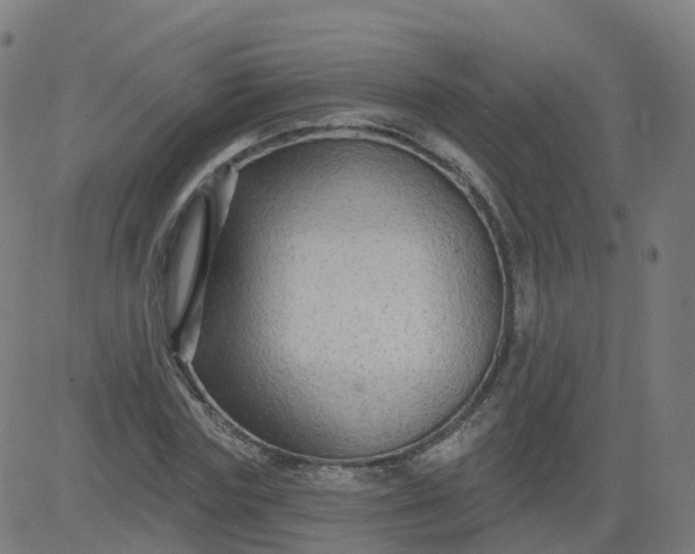 X0000084600827200703091926