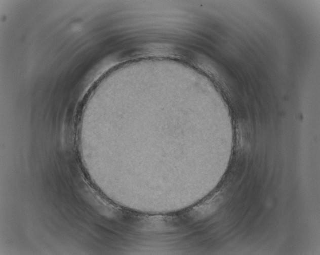 X0000084600828200703091926