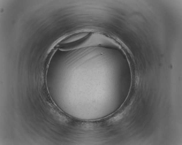 X0000084600829200703091926