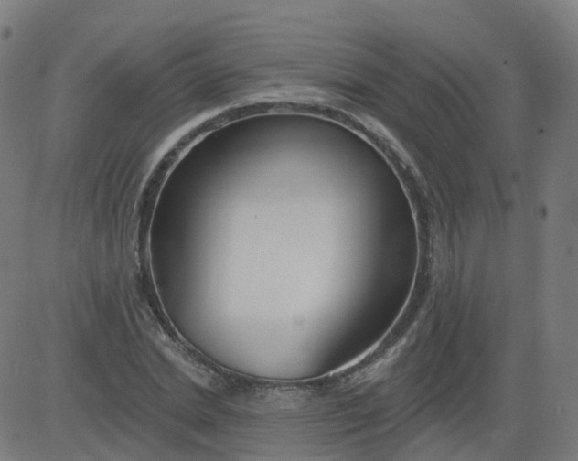 X0000084600830200703091926