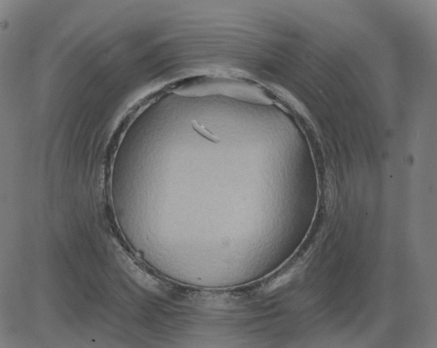 X0000084600831200703091926