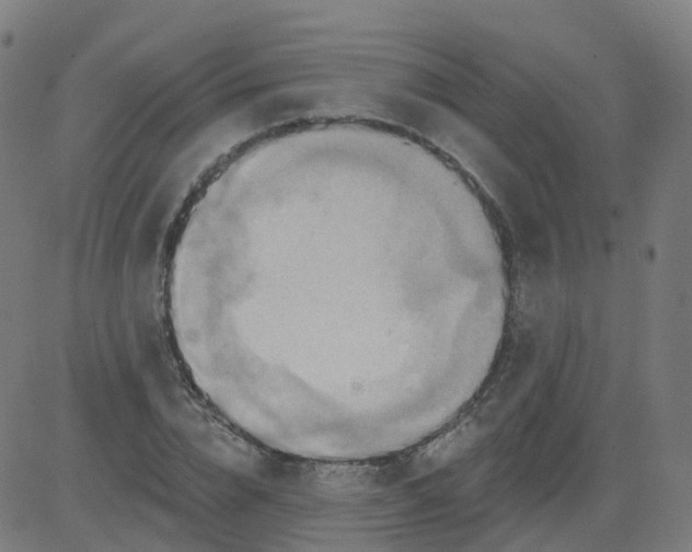 X0000084600832200703091926