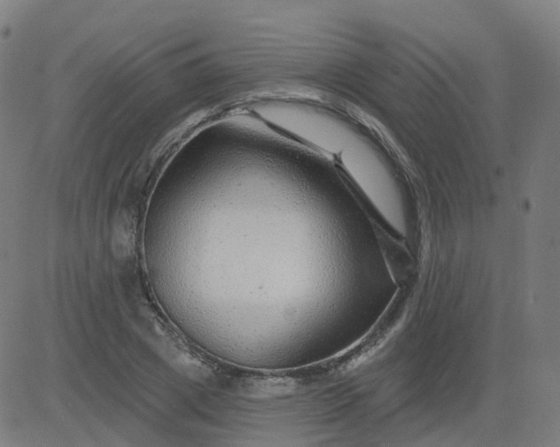 X0000084600833200703091926