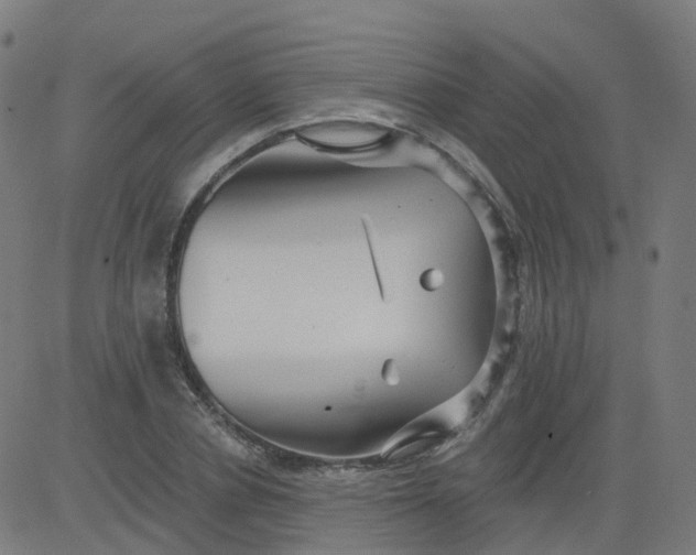 X0000084600834200703091926