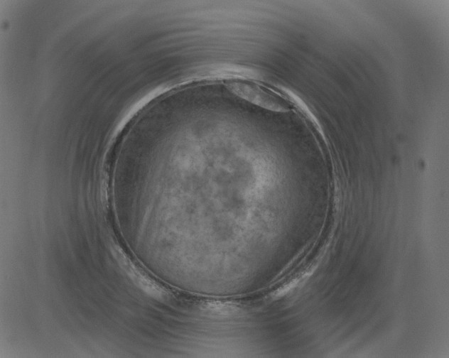 X0000084600835200703091927