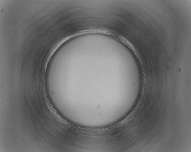 X0000084600836200703091927