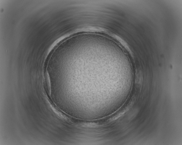 X0000084600837200703091927