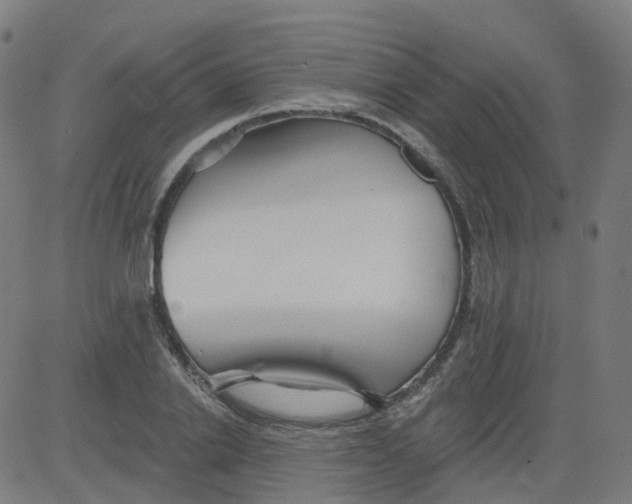 X0000084600838200703091927