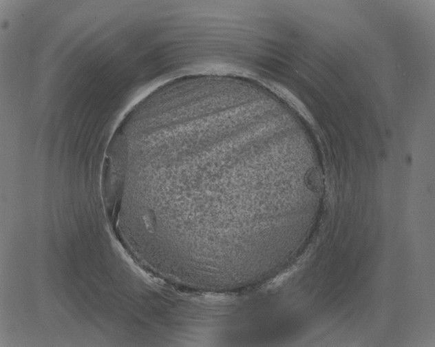 X0000084600839200703091927