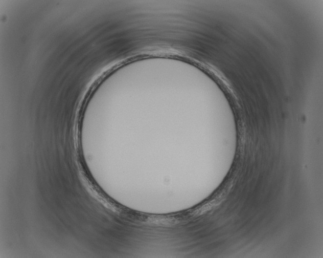 X0000084600840200703091927