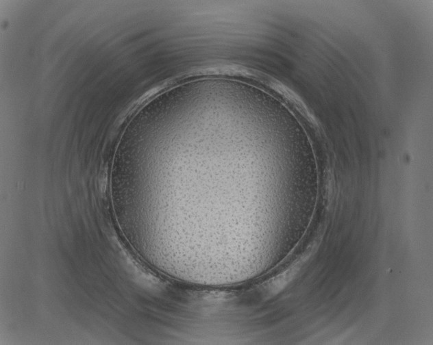 X0000084600841200703091927