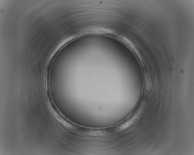 X0000084600843200703091927