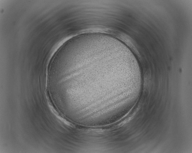 X0000084600844200703091927