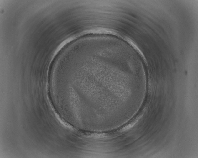 X0000084600845200703091927