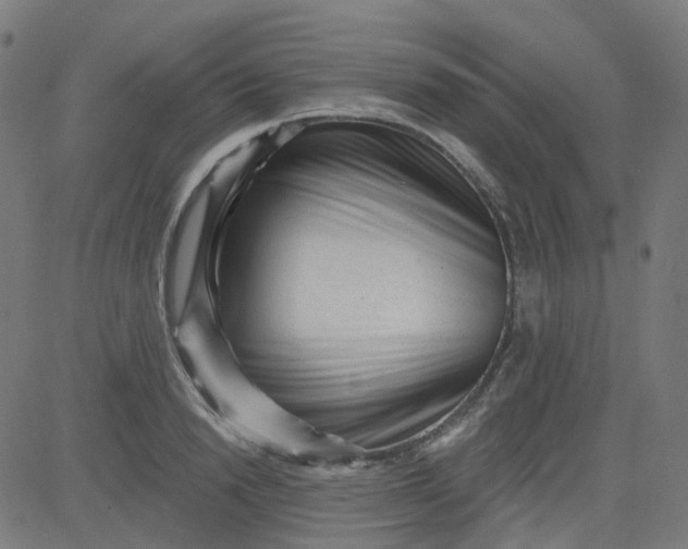 X0000084600846200703091927