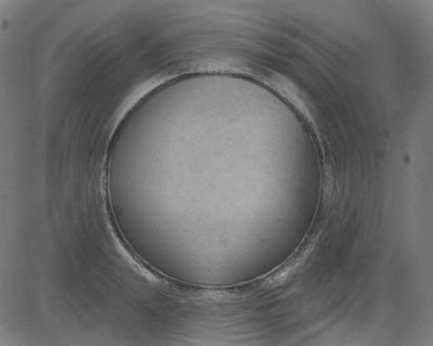 X0000084600847200703091927