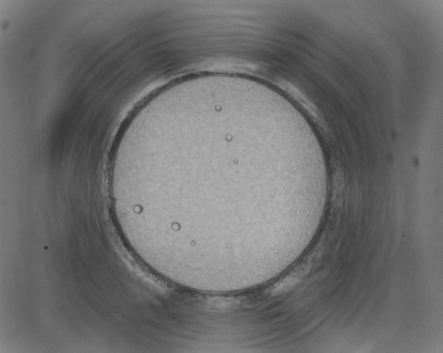 X0000084600848200703091927