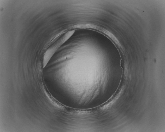 X0000084600849200703091927