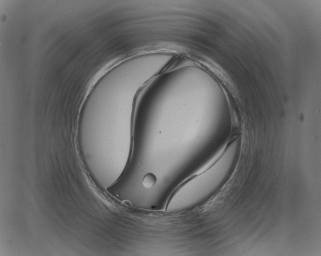 X0000084600850200703091927