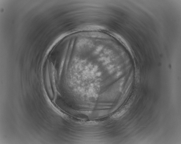 X0000084600851200703091927