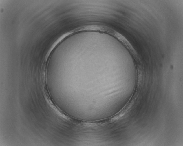 X0000084600852200703091927