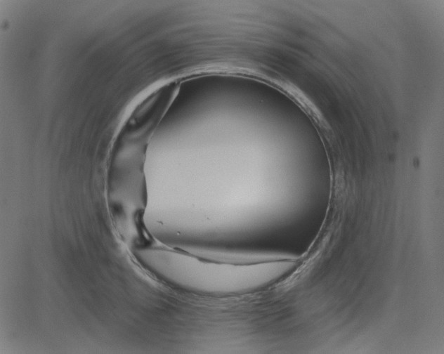 X0000084600854200703091927