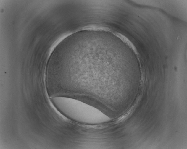 X0000084600855200703091927