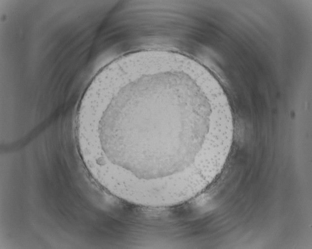 X0000084600856200703091927