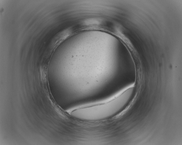 X0000084600857200703091927