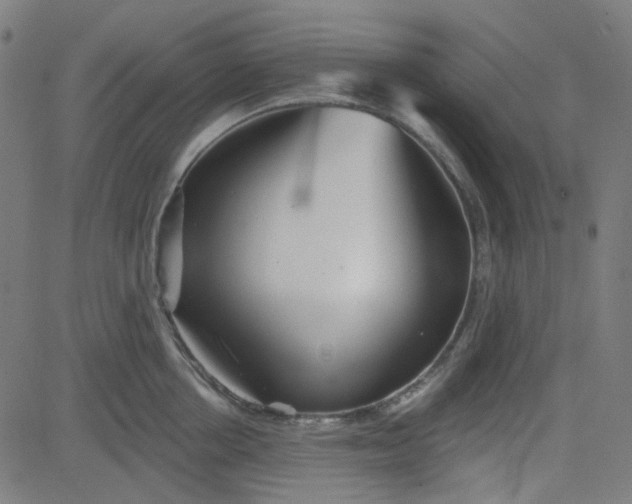 X0000084600858200703091927