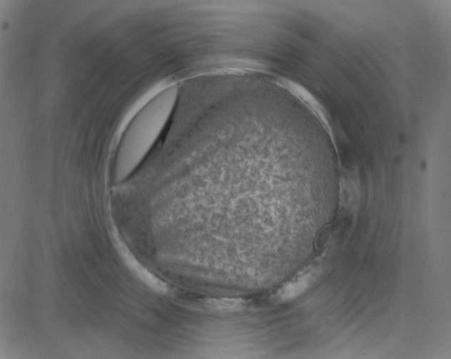 X0000084600859200703091927