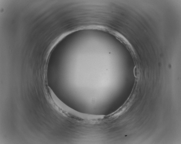 X0000084600860200703091927