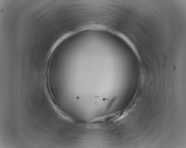 X0000084600861200703091927