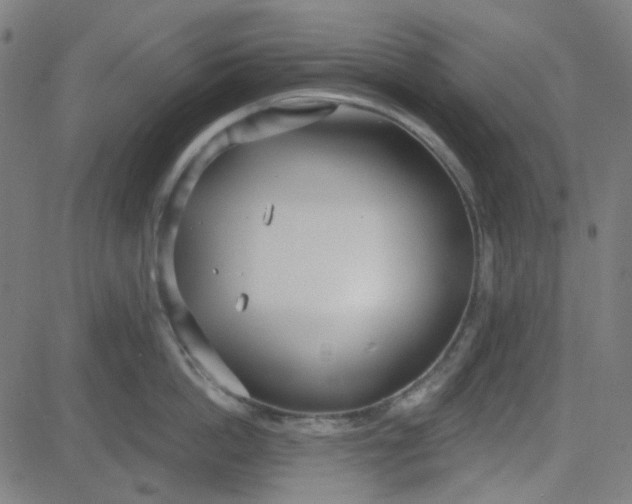 X0000084600862200703091927