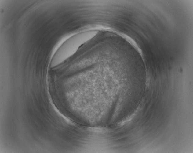 X0000084600863200703091927