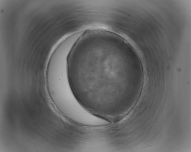 X0000084600864200703091927